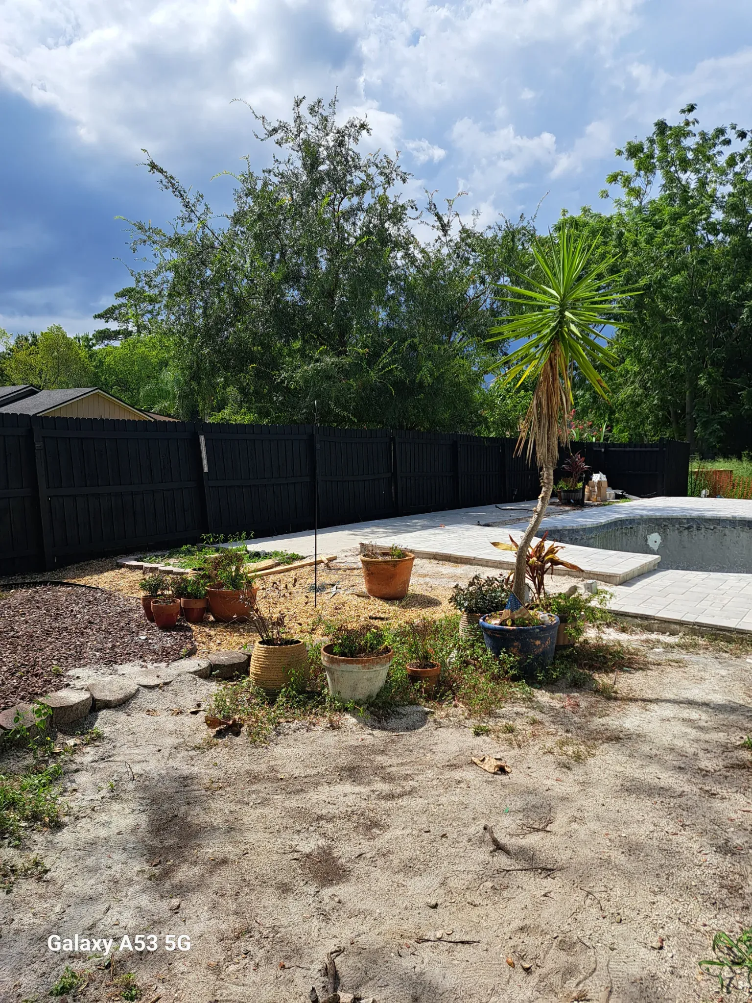 Fence painting — after